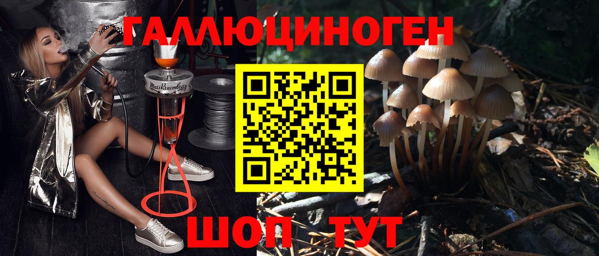 Галлюциногенные грибы Cubensis  Вход с VPN  Новороссийск 